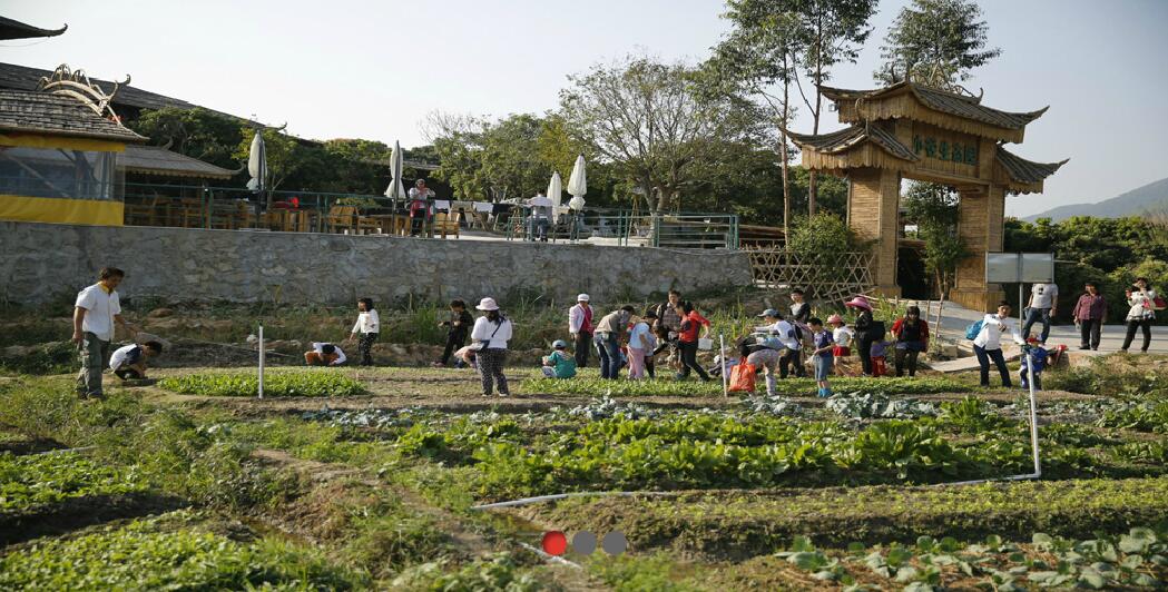 春暖花開，我們去春游！